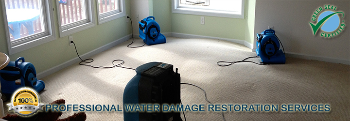 page-waterdamage