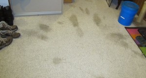 carpet cleaning Riverside